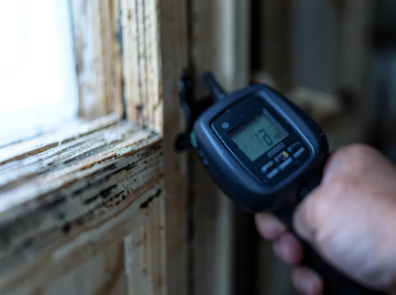 Moisture Inspection And Documentation in Mooresburg, TN